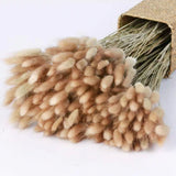 120pcs 17" Bunny Tails Dried Flowers Brown Pampas Grass Natural Rabbit Tail G... Pampas Grass