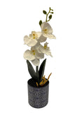 Artificial Orchid Potted Flowers, Faux Orchid Plant with Pot 12" x 3" x 3" Flowering Plants
