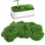 Potting Moss for Indoor Plants Artificial Decorating Floral Faux Green Plant