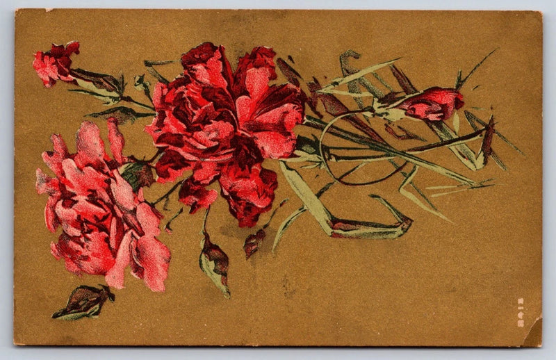 Red and Pink Carnations Greeting Postcard Flowers USA Unposted Carnation