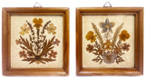 2 Vintage Framed Dried Pressed Flowers Wall Art Miniatures Germany Dried Flower