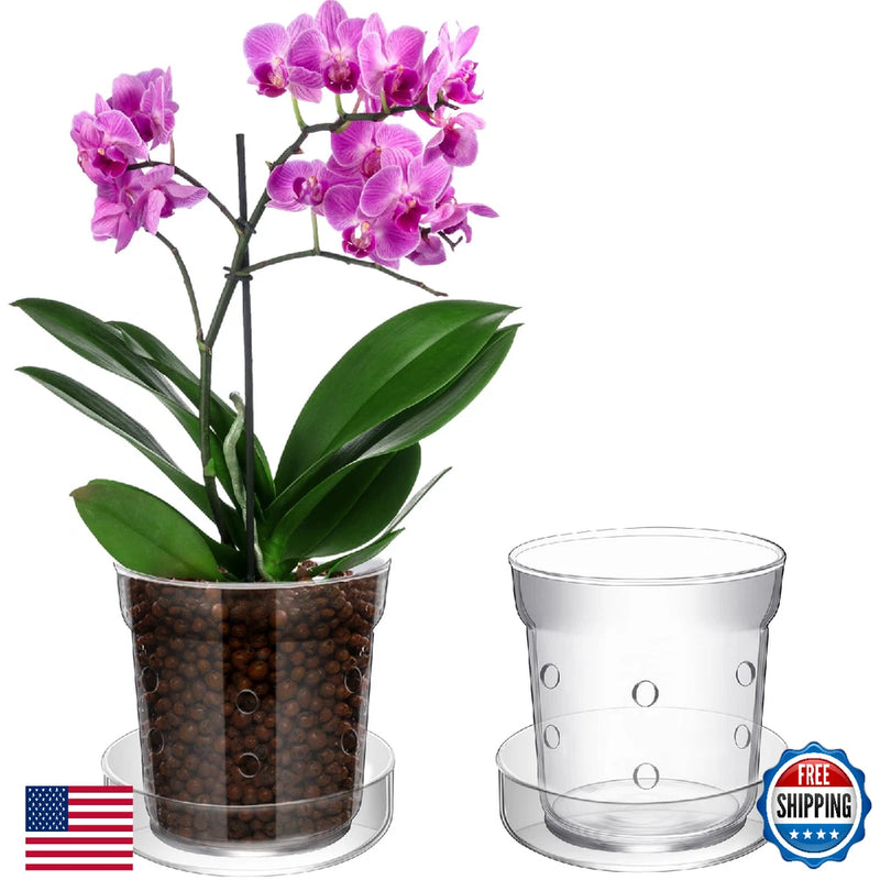 Transparent glass orchid planter with drainage holes and clear tray, holding purple orchid.