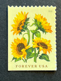 2026 USA Forever Save Sunflowers Single Booklet Stamp - MNH - FREE SHIPPING!! Sunflower