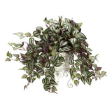 Wandering Jew Silk Plant w/ Metal Planter Green Plant