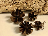 Dried Decor 20 Wood Flowers 1 inch Dried Flower
