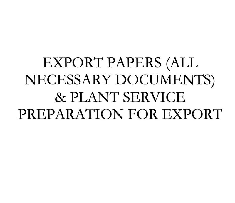 EXPORT DOCUMENTATION & PLANTS PREPARATION FOR EXPORT Green Plant