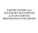 EXPORT DOCUMENTATION & PLANTS PREPARATION FOR EXPORT Green Plant