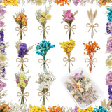 10 Pcs Mini Dried Flowers Bouquet Natural Gypsophila Don'T Forget Me Dried Dried Flower