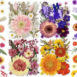 98Pcs Pressed Dried Flowers for Resin Molds, Natural Bulk Floral Leaves Dried Flower