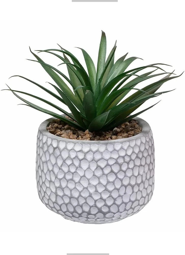 CADNLY Small Fake Plants in Pot - Artificial Succulents for Desk - Small Faux Pl Green Plant