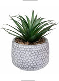 CADNLY Small Fake Plants in Pot - Artificial Succulents for Desk - Small Faux Pl Green Plant