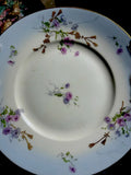 Limoges  MR France Carnations Surrounded By Gold Trim Shades Of Blue Carnation