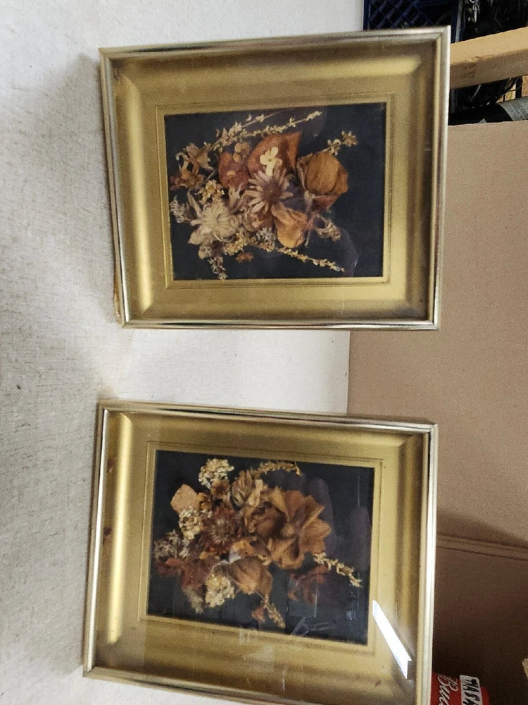Set of two vintage gold framed dried flower pictures with pressed blooms on dark background