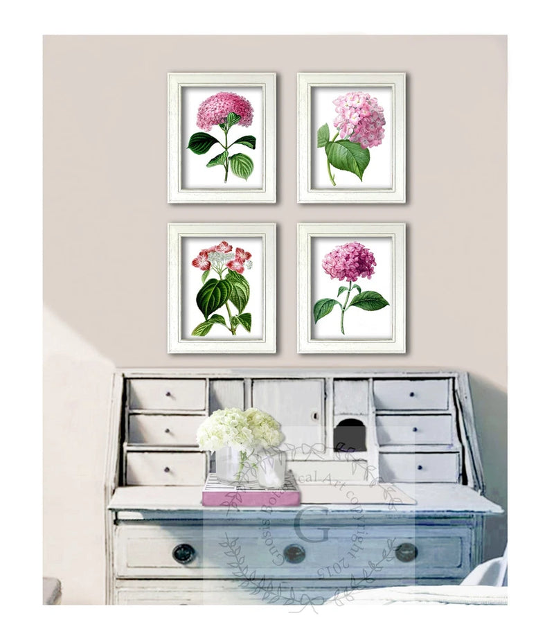 Set of 4 botanical hydrangea flower prints with pink blooms, each in a white frame