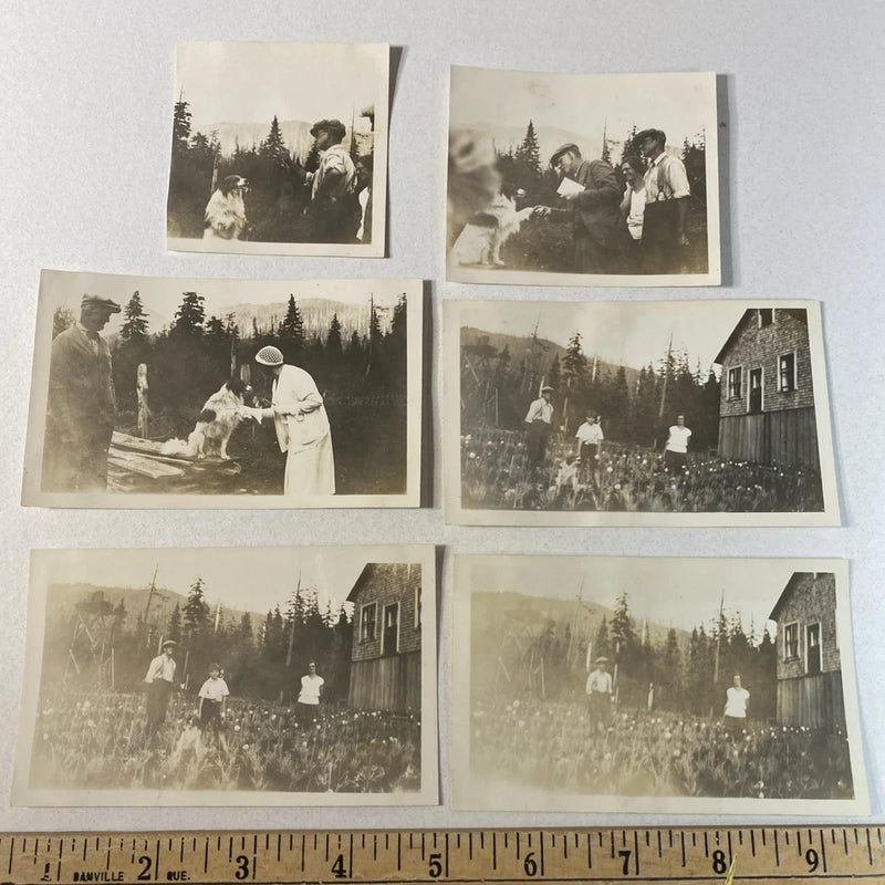 Vintage Photo Selby Family Carnation Garden Surrey Vancouver area BC Canada 1932 Carnation
