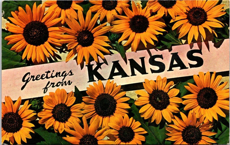 Kansas postcard with orange sunflowers and 'Greetings from'