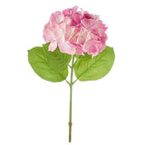 Raz Imports, 19" Real Touch Hydrangea - Pink (F4212837) Hydrangea