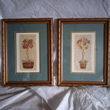 Beautifully Done Vintage Pair of Pressed Dried Flowers Framed Art Large 12 x 16" Dried Flower