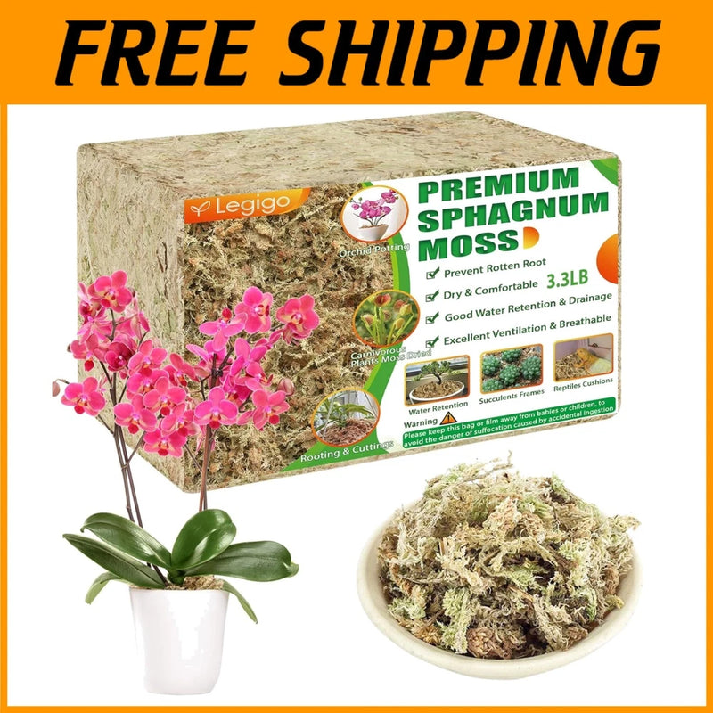 Premium sphagnum moss for orchids in a cardboard box with loose moss sample