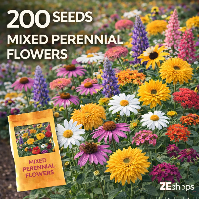 200 Mixed Perennial Flower Seeds Ð Colorful Garden Blend Flowering Plants
