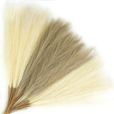 Agusbagli 30pcs Faux Pampas Grass, 21.6in Fluffy Artificial Colored Pompas Gr... Pampas Grass
