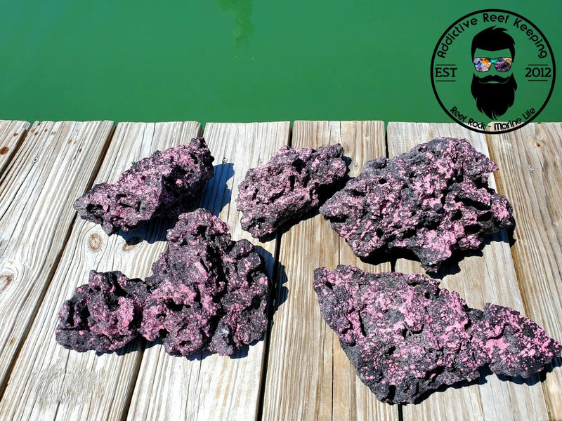 ARK Pink on Black Dry Reef Rock Aragonite Base, Porous l Live Anemone