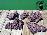 ARK Pink on Black Dry Reef Rock Aragonite Base, Porous l Live Anemone