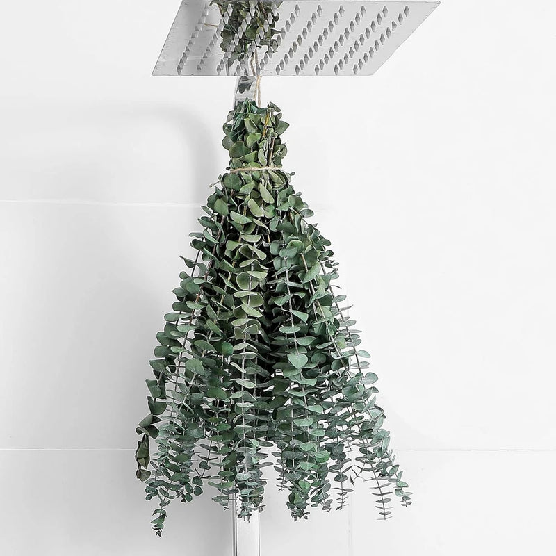 Dried eucalyptus stems bundle with green leaves, 17-inch wedding decor