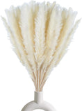 30 Pcs White Pampas Grass ,17 Inch/45 Cm Natural Dried Pampas Grass Branches Dec Pampas Grass