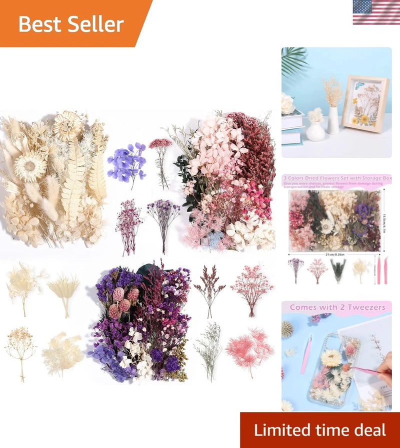 Real Dried Flowers 100% Natural Dried Flowers, Mixed Colors Dried Leaf Flower... Dried Flower