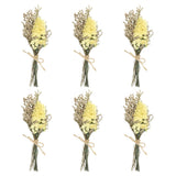 6 Pcs Mini Forget-me-not Dried Flower Bouquet Baby's Breath Boho Yellow Dried Flower
