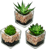Briful Set of 3 Succulents Plants Artificial in Glass Pots Small Fake Succulents Green Plant