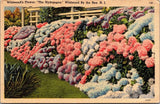 Wildwood's Flower "THE HYDRANGEA" Wildwood by the Sea NEW JERSEY linen Postcard Hydrangea