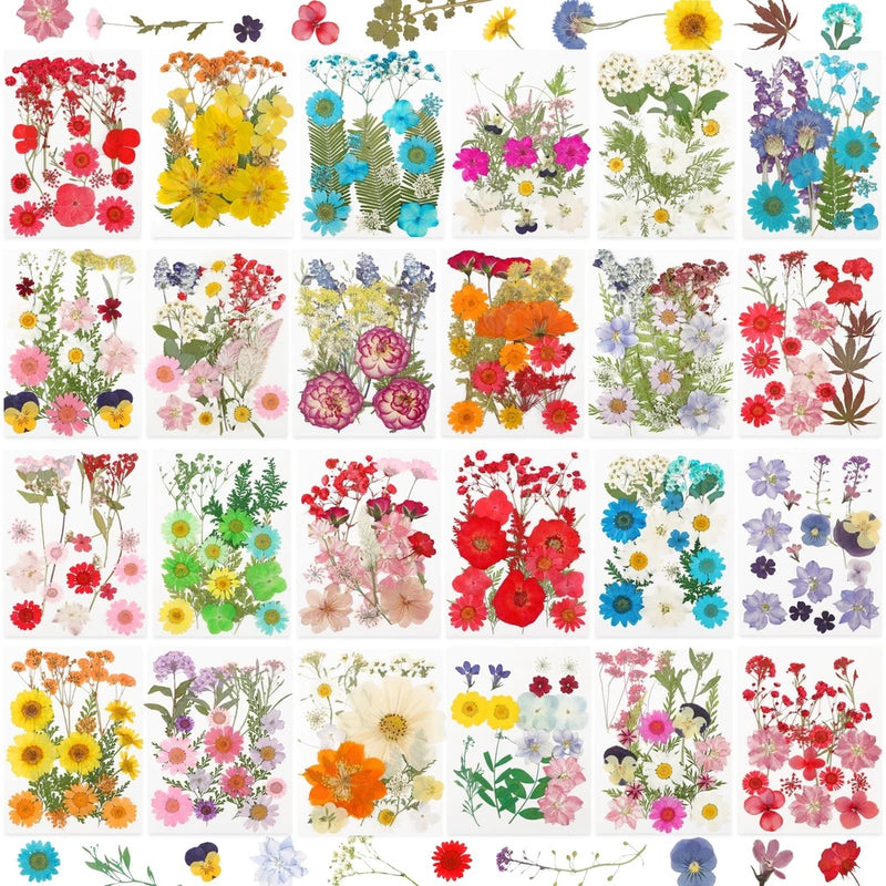 428 Pcs Dried Pressed Flowers & Leaves for Resin Crafts, DIY Art, Scrapbooking Dried Flower