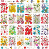 428 Pcs Dried Pressed Flowers & Leaves for Resin Crafts, DIY Art, Scrapbooking Dried Flower