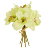 Set of 2 Richly Colored Artificial Light Green Cymbidium Orchid 9-1/2" Bundles Green Plant