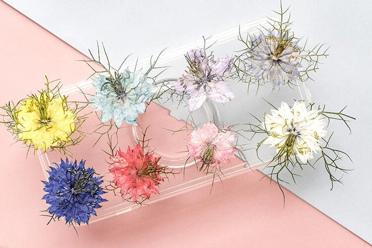 Set of dyed pressed dried flowers, 12 colorful blooms with fine stems for crafts