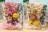 Real Dried Flowers for Crafts, Natural Dry Flowers Mixed Natural Pressed Flowers Dried Flower