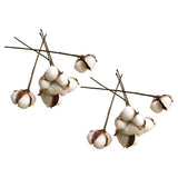 Elegant Dried Cotton Flower Stems White Heads for Wedding and Home Decor Dried Flower