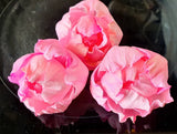 30 Pink Peony Rose Sola Wood Diffuser Flowers 8 cm Dia. with CR and A/W/S Carnation