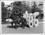 Horse-Drawn Float Covered With Pampas Grass In The Pasadena Tourn - Old Photo Pampas Grass