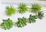 Set of 7 Artificial Mini Green Grass Mini Pine tree Succulents Plants Green Plant