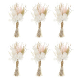 6 Pcs Mini Pampas Grass Dried Flower Bouquet Baby's Breath Boho Pink Dried Flower