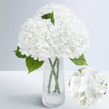 Waipfaru 21" Real Touch White Hydrangea Artificial Flowers with 3pcs, Hydrangea