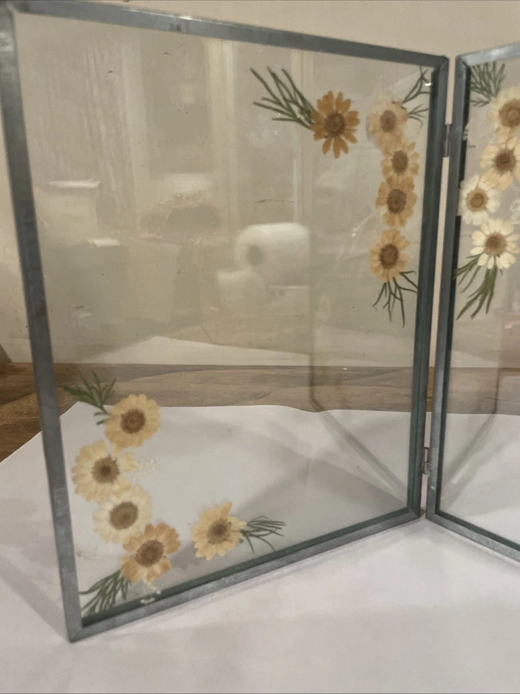 Double-hinged clear glass photo frame with pressed daisy flowers, open