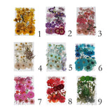 Mixed Pressed Dried Flowers Dry Leaves for  Bookmark Cards Making Dried Flower