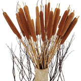 40 Pcs Dried Natural Cattails Jumbo Dried Flowers for Floral Arrangement Wedd... Dried Flower