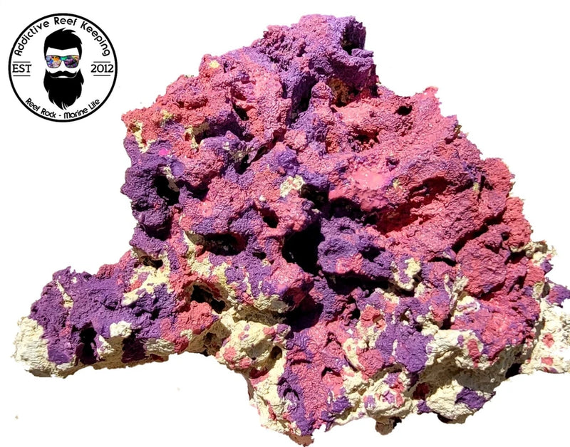ARK Coralline Reef Rock Dry Aragonite Porous  PICK SIZE AND WEIGHT Anemone