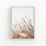 Pampas Grass Minimalist Wall Art Poster Premium Quality Choose your Size Pampas Grass