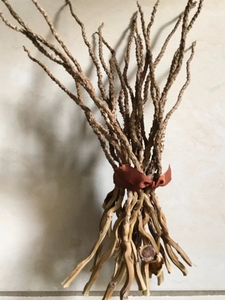 Fall wood dried flower stems bundle with dark twigs and tan dried blooms